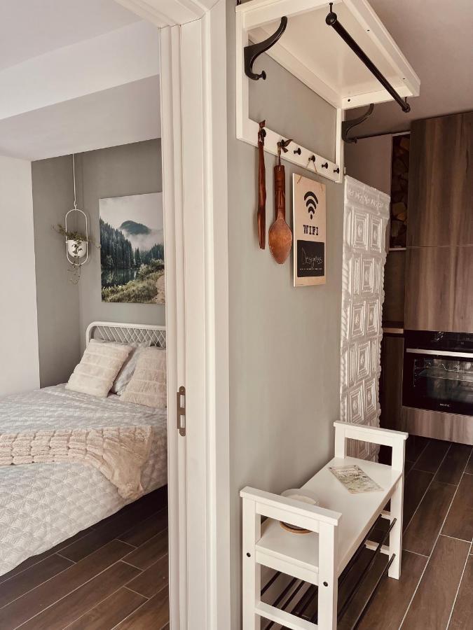 In Maramu' La Mocanita! Apartment Viseu de Sus